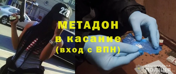 прущие грибы Ельня