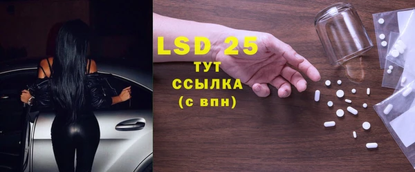 прущие грибы Ельня