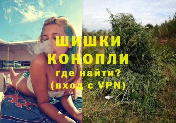 прущие грибы Ельня