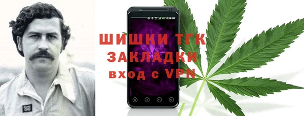 прущие грибы Ельня