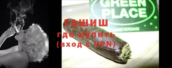 прущие грибы Ельня