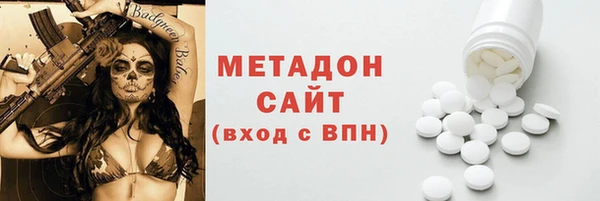 прущие грибы Ельня