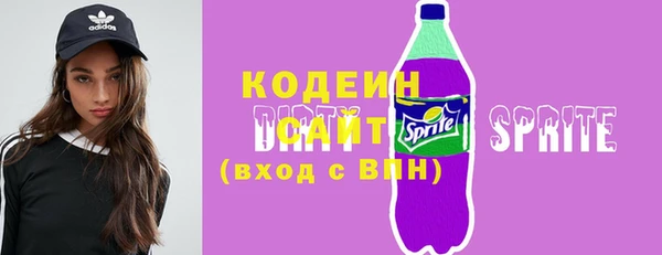 прущие грибы Ельня